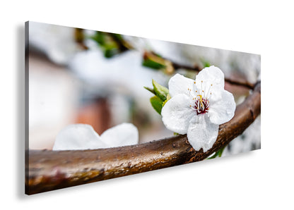 Hauptbild Farbig Panorama