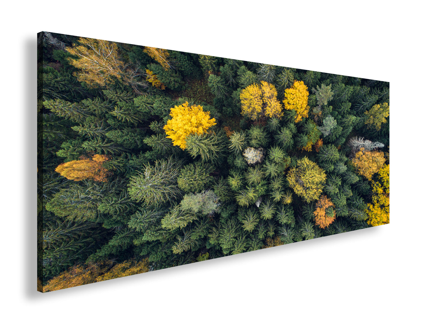 Hauptbild Farbig Panorama