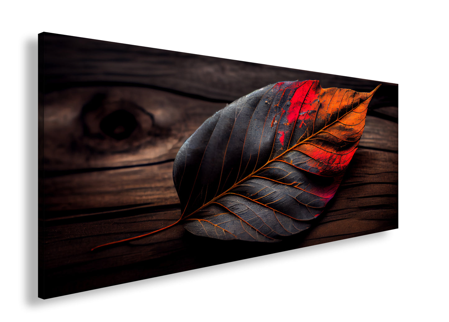 Hauptbild Farbig Panorama