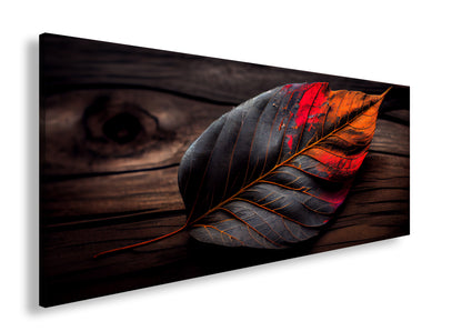 Hauptbild Farbig Panorama