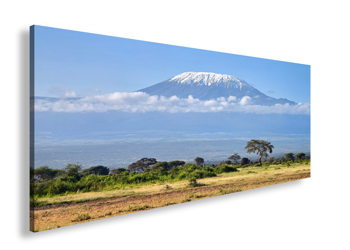 Hauptbild Farbig Panorama