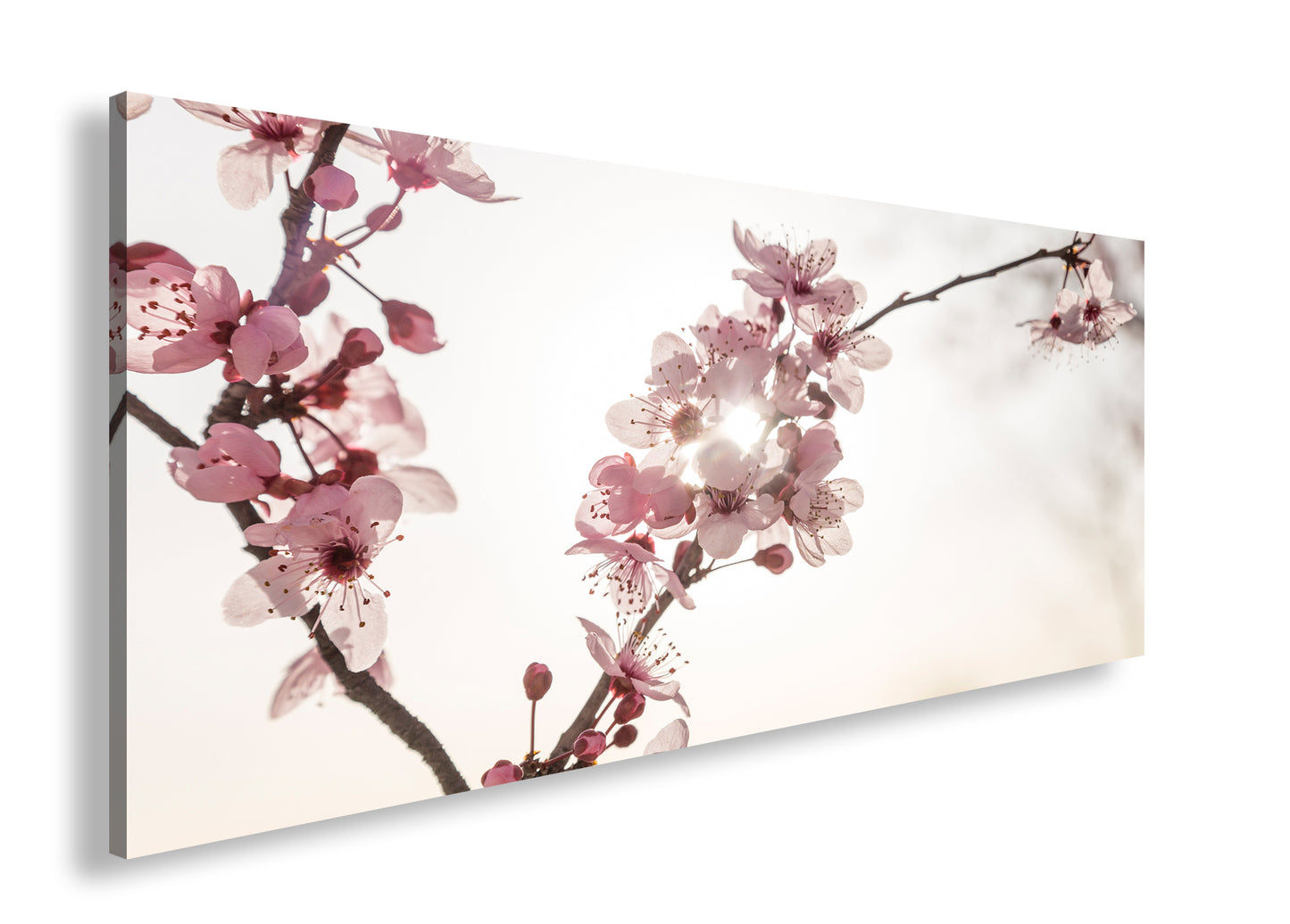 Hauptbild Farbig Panorama