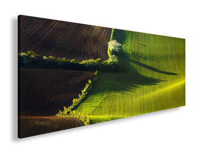 Hauptbild Farbig Panorama