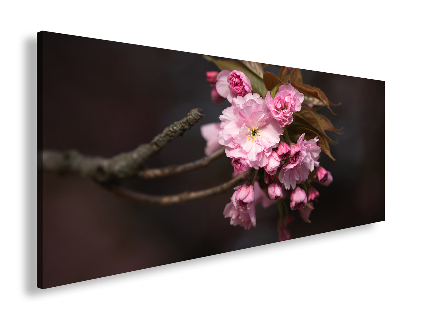 Hauptbild Farbig Panorama