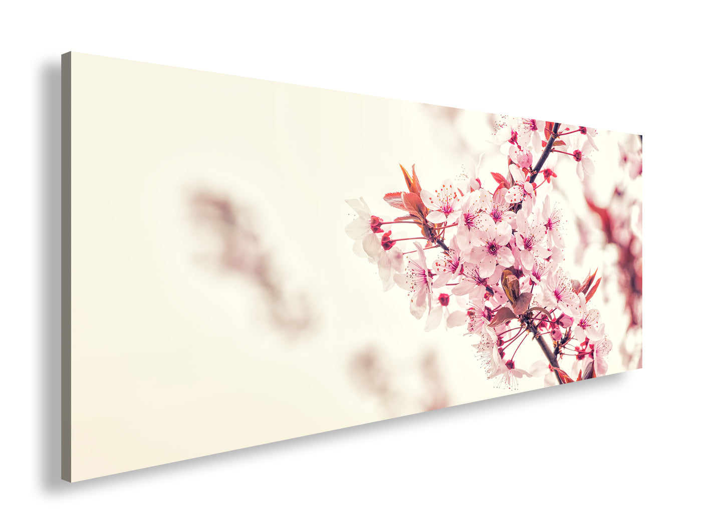 Hauptbild Farbig Panorama