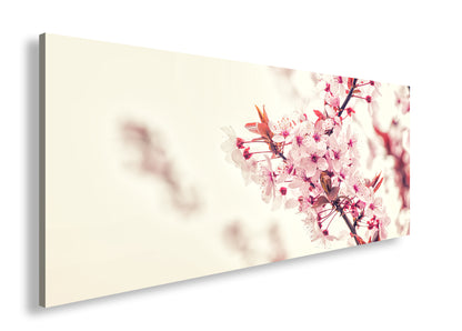 Hauptbild Farbig Panorama