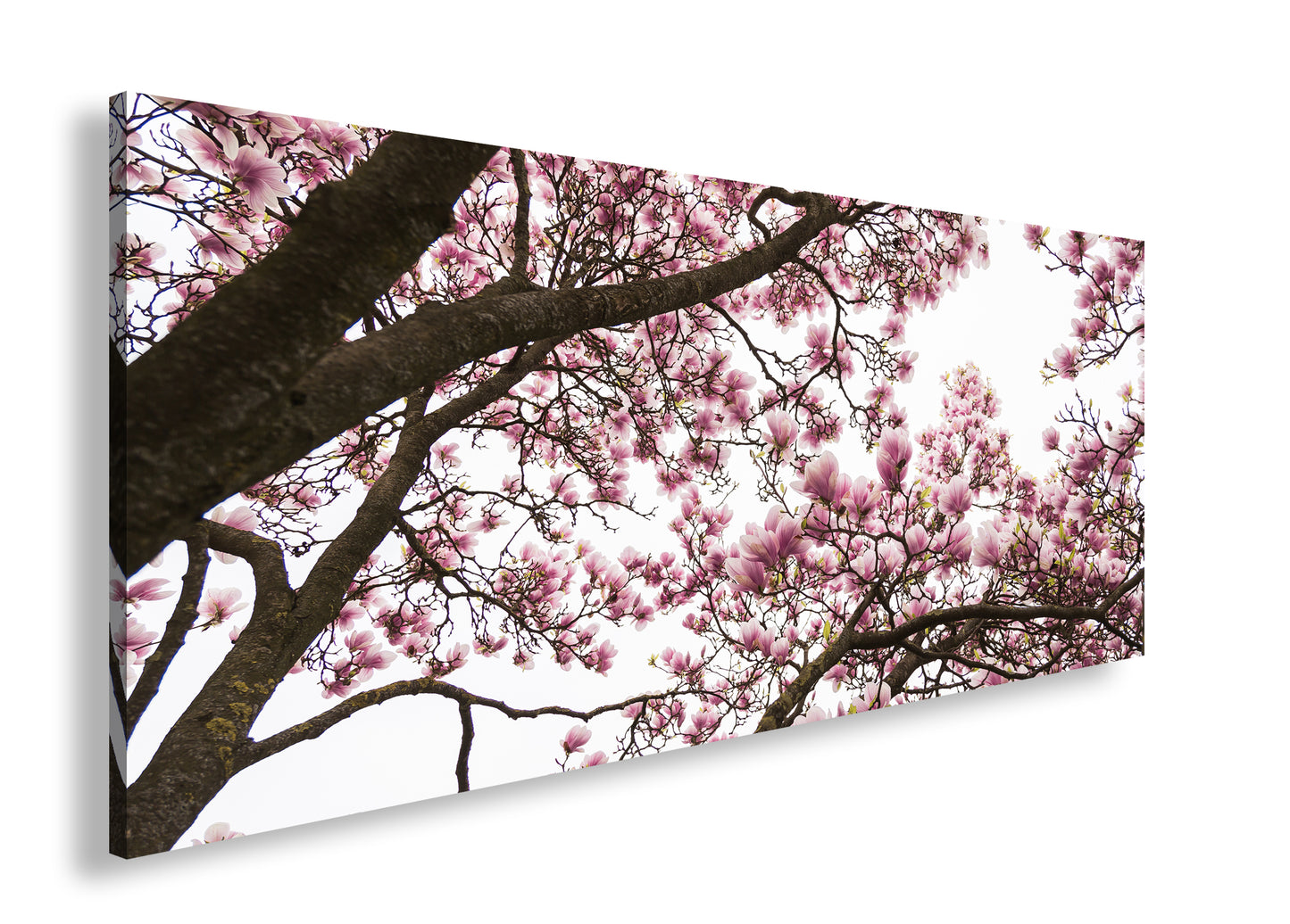 Hauptbild Farbig Panorama