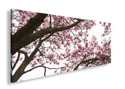 Hauptbild Farbig Panorama