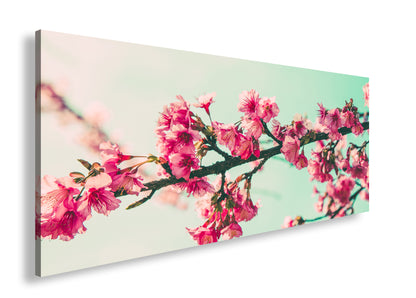 Hauptbild Farbig Panorama