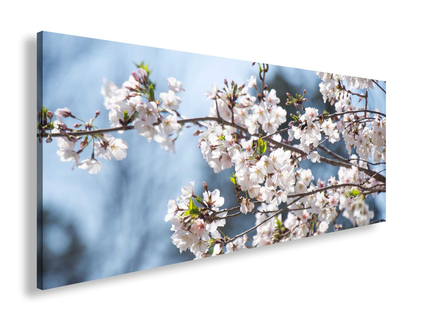 Hauptbild Farbig Panorama