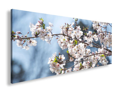 Hauptbild Farbig Panorama