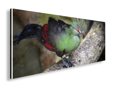 Hauptbild Farbig Panorama