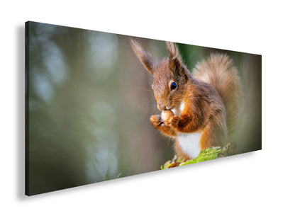 Hauptbild Farbig Panorama