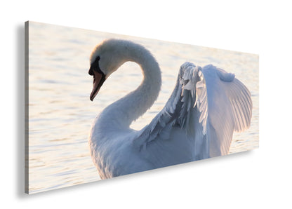 Hauptbild Farbig Panorama