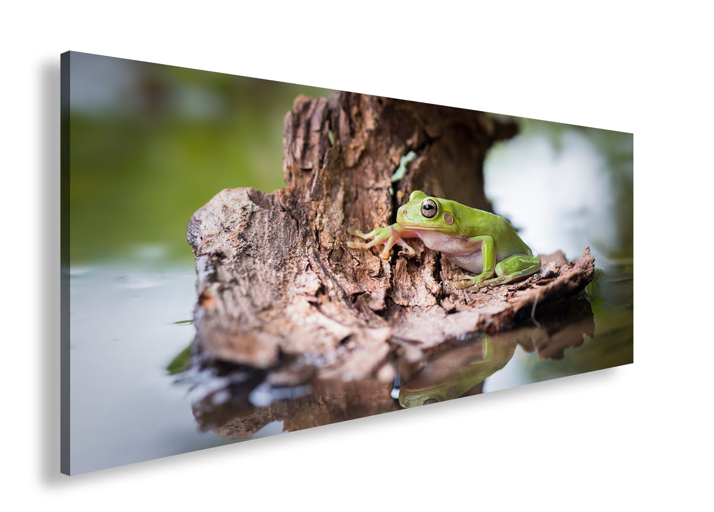 Hauptbild Farbig Panorama