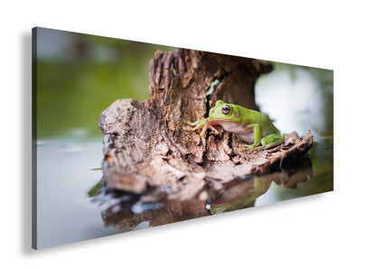 Hauptbild Farbig Panorama