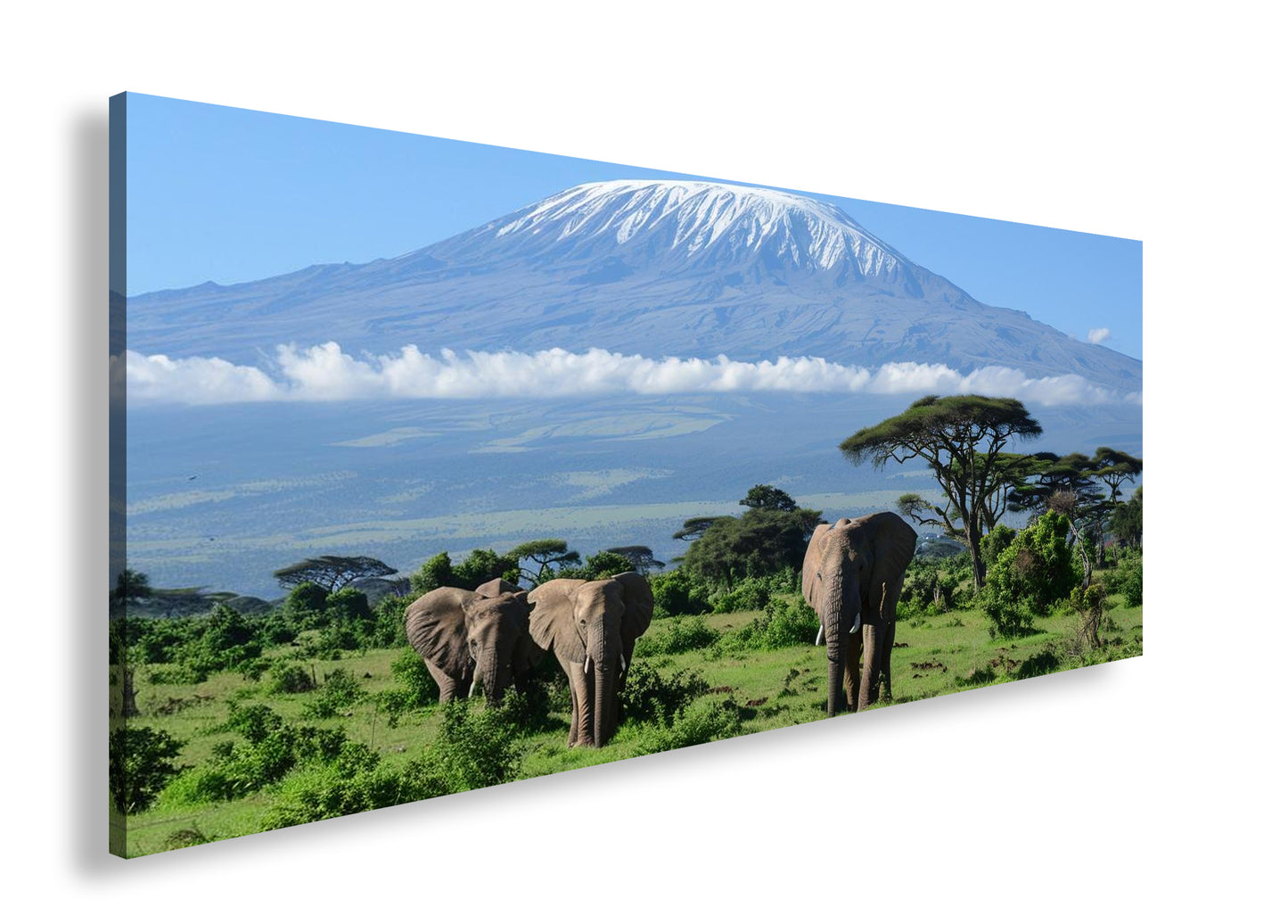 Hauptbild Farbig Panorama