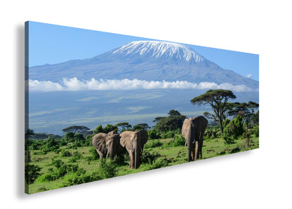 Hauptbild Farbig Panorama