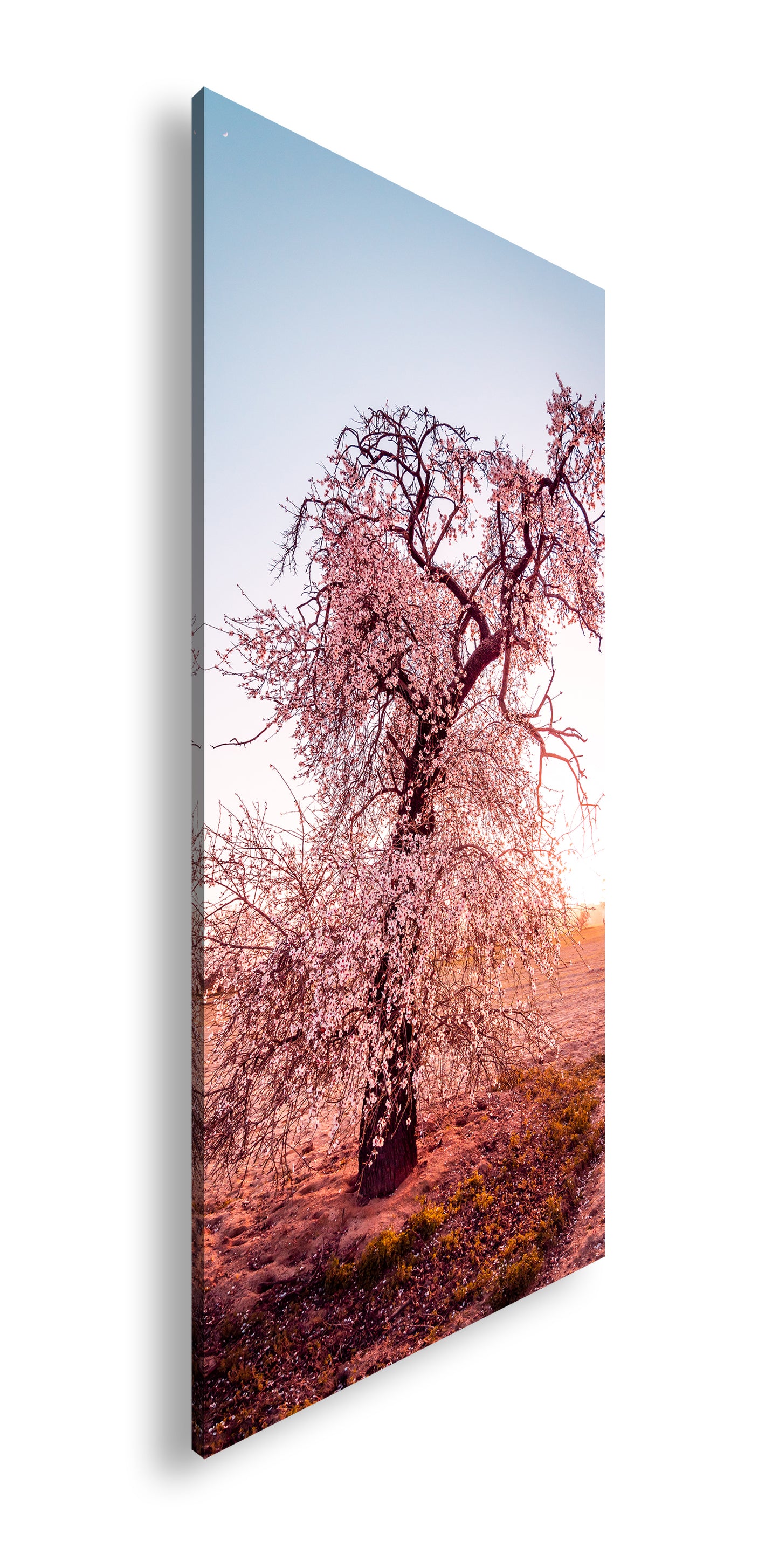 Hauptbild Farbig Panorama