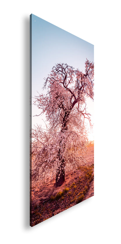 Hauptbild Farbig Panorama