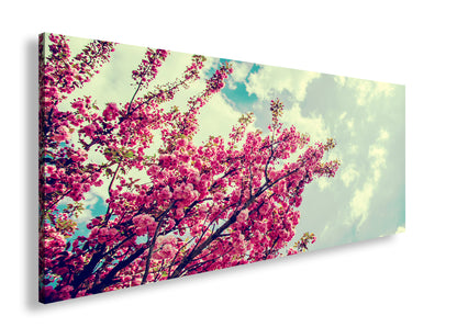 Hauptbild Farbig Panorama