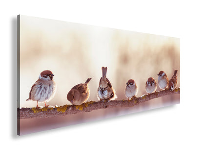 Hauptbild Farbig Panorama