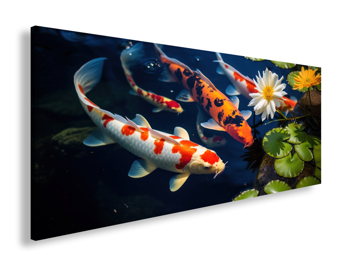 Hauptbild Farbig Panorama