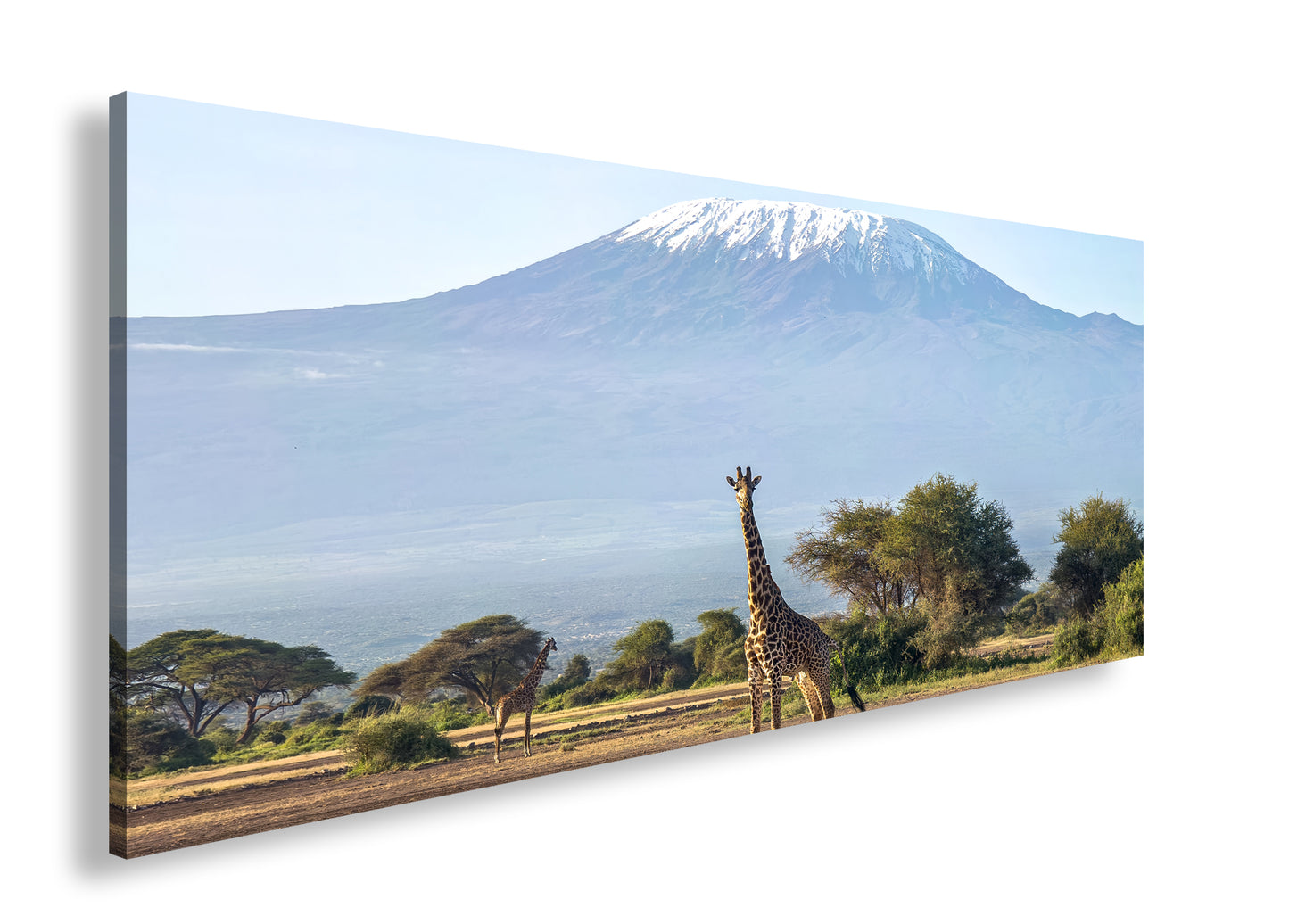 Hauptbild Farbig Panorama