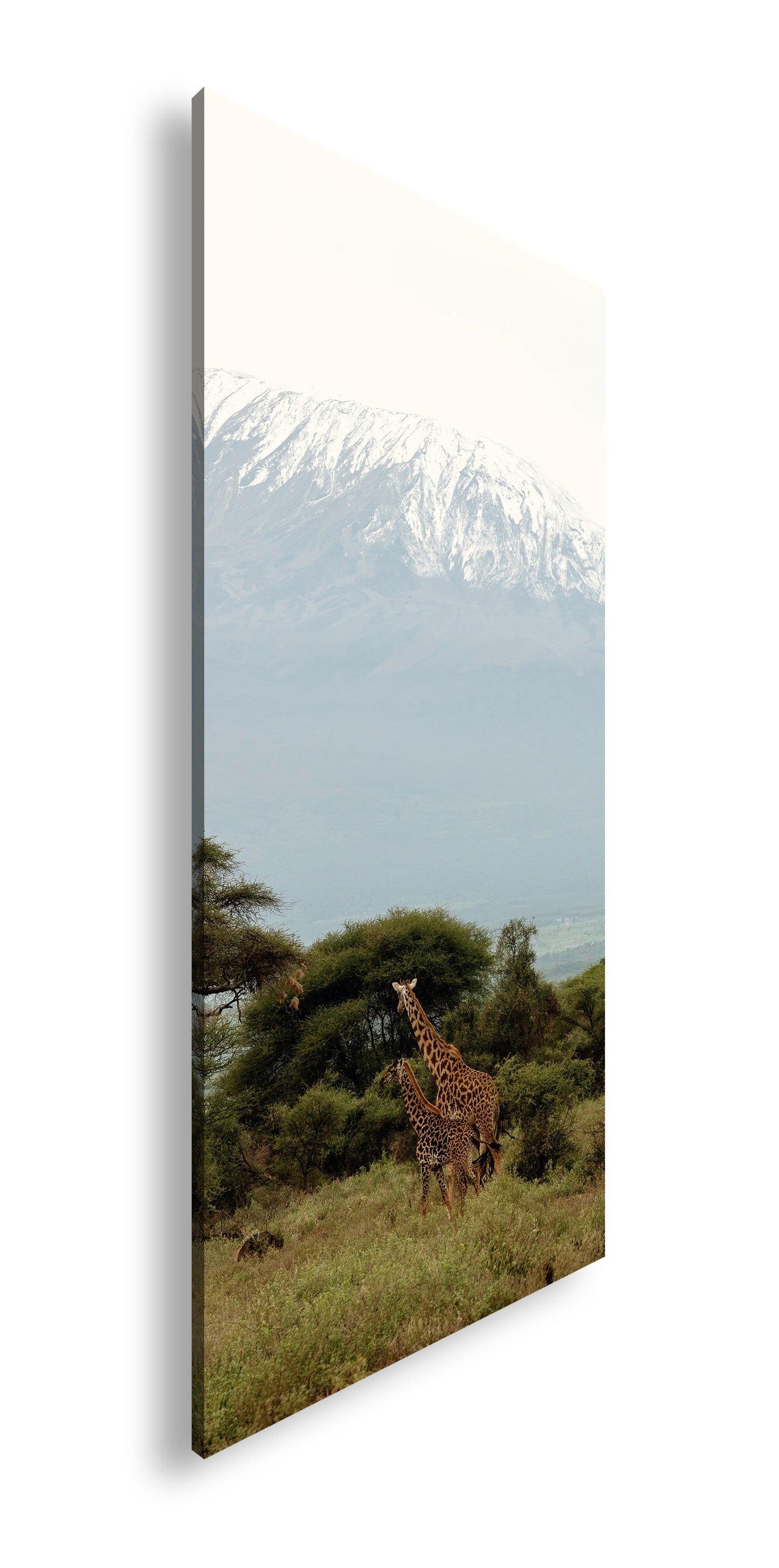 Hauptbild Farbig Panorama