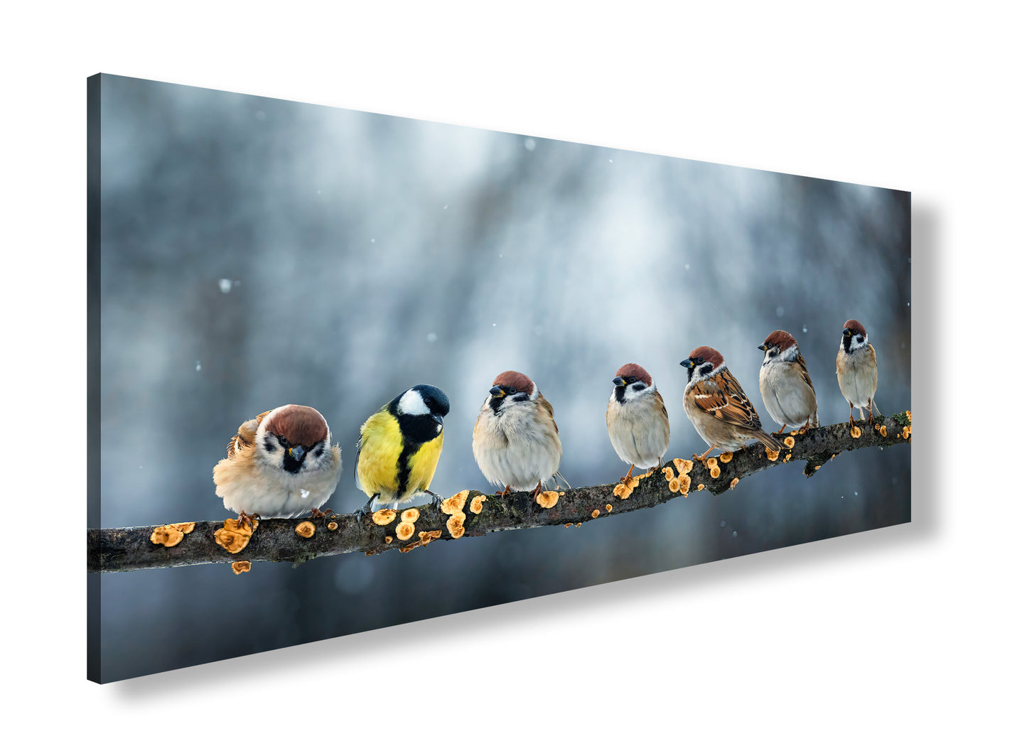 Hauptbild Farbig Panorama