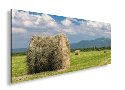 Hauptbild Farbig Panorama