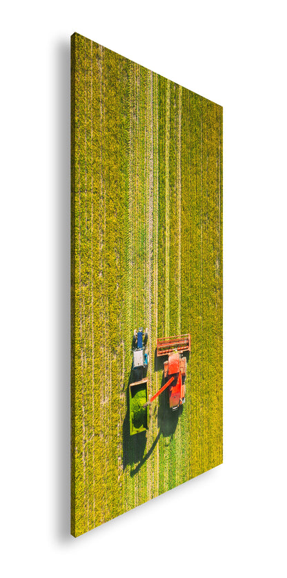 Hauptbild Farbig Panorama