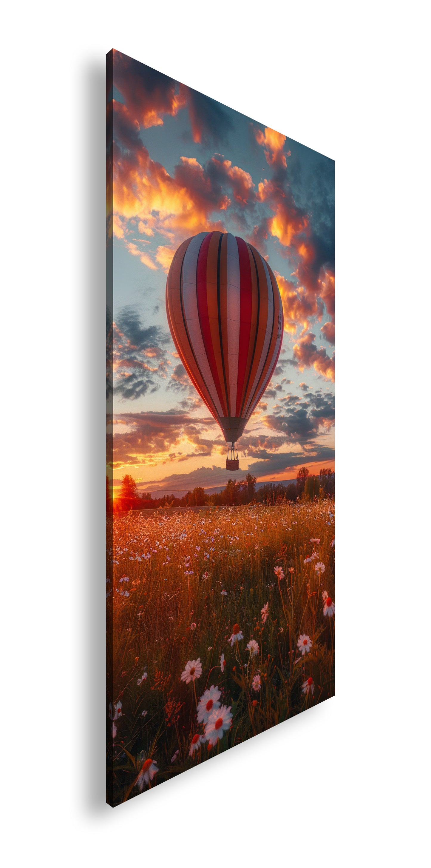 Hauptbild Farbig Panorama