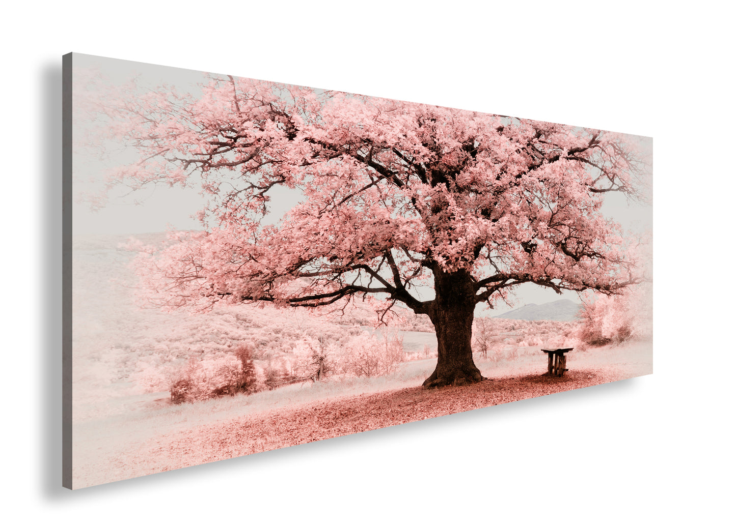 Hauptbild Farbig Panorama