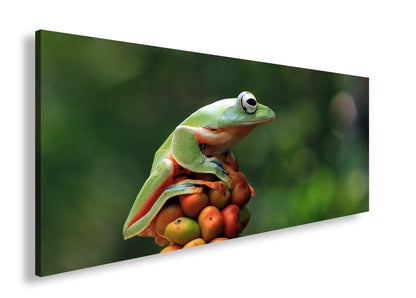 Hauptbild Farbig Panorama