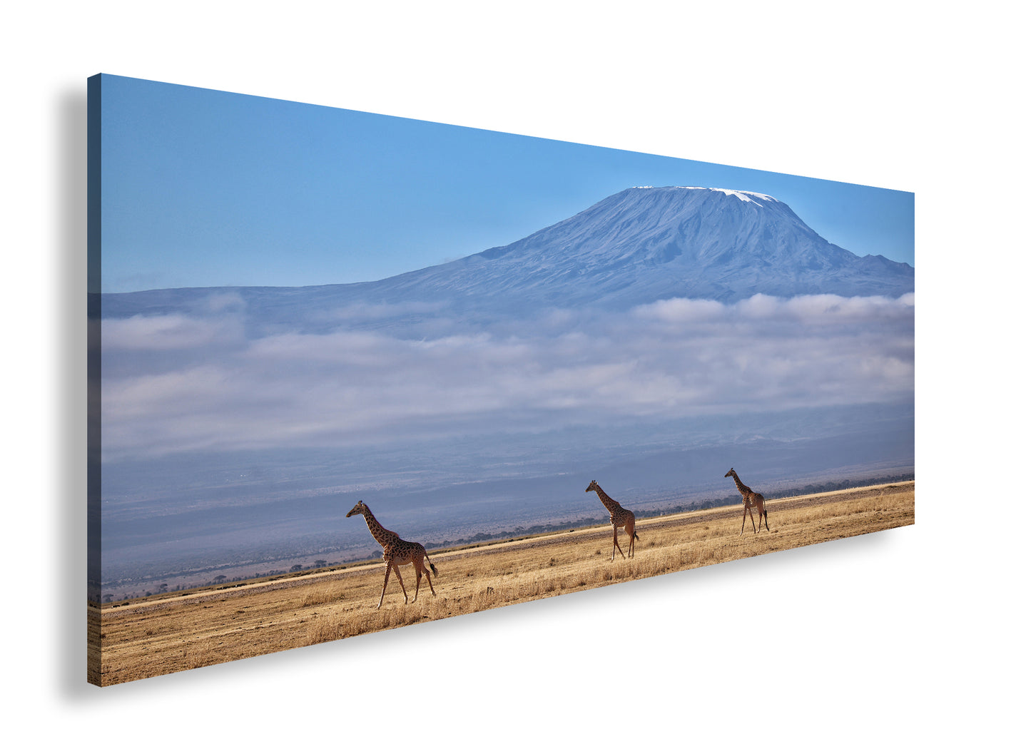 Hauptbild Farbig Panorama