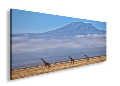 Hauptbild Farbig Panorama