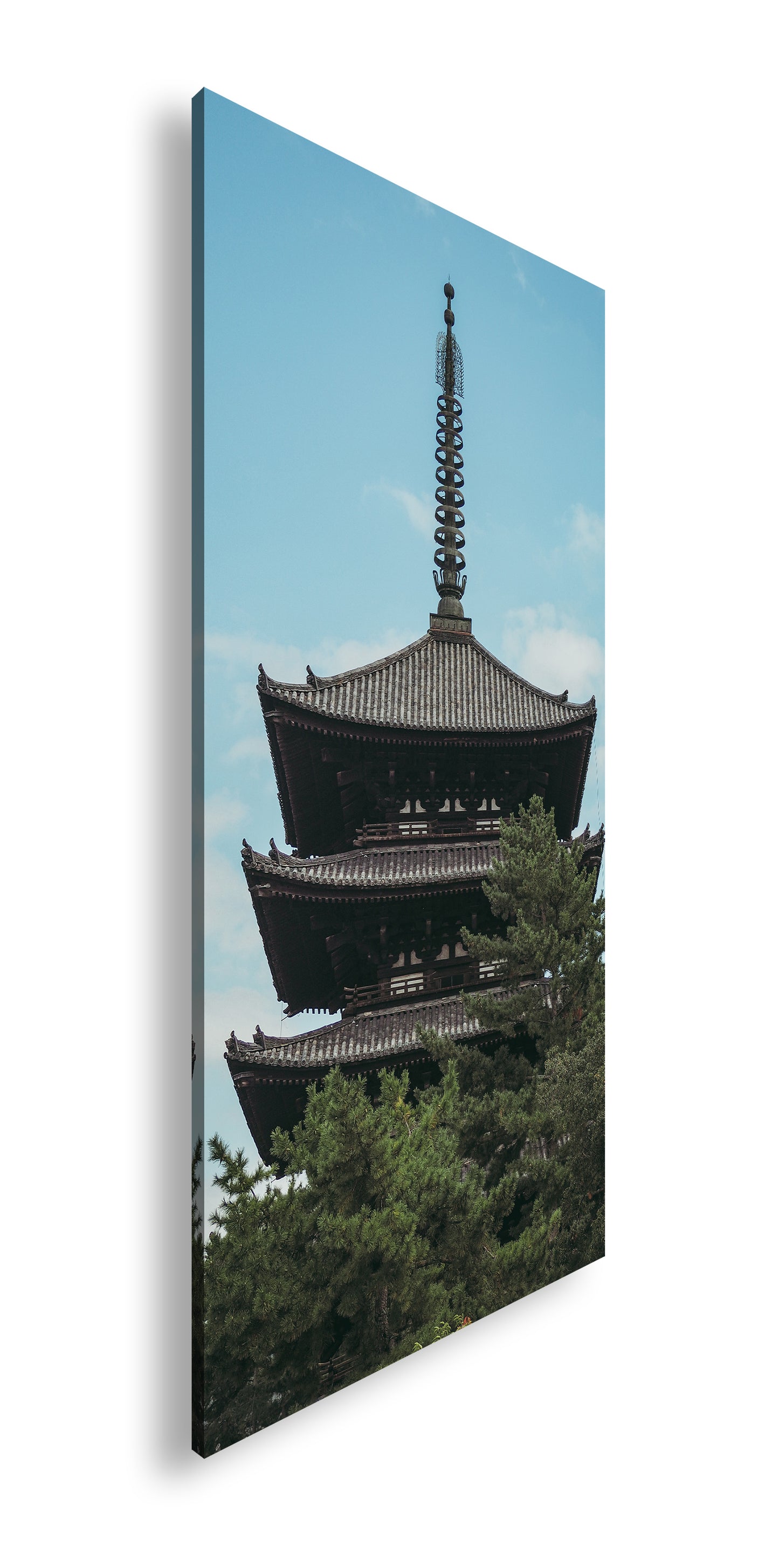 Hauptbild Farbig Panorama