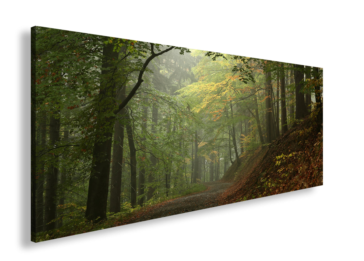 Hauptbild Farbig Panorama