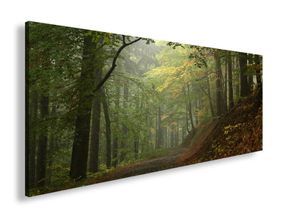 Hauptbild Farbig Panorama