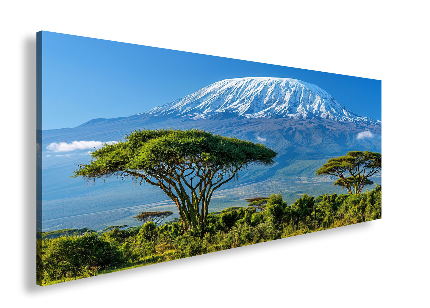 Hauptbild Farbig Panorama