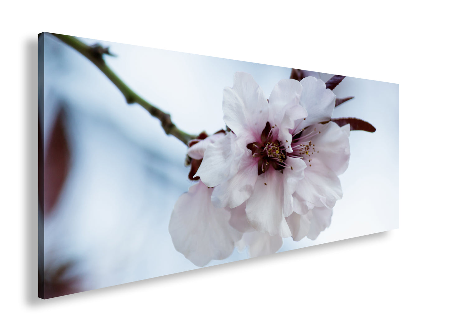 Hauptbild Farbig Panorama