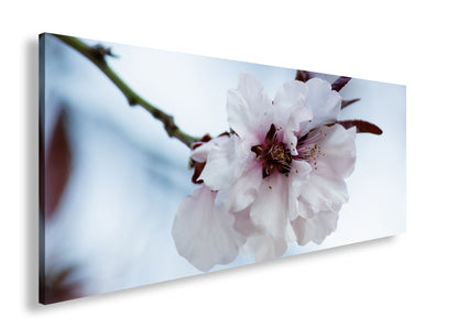 Hauptbild Farbig Panorama