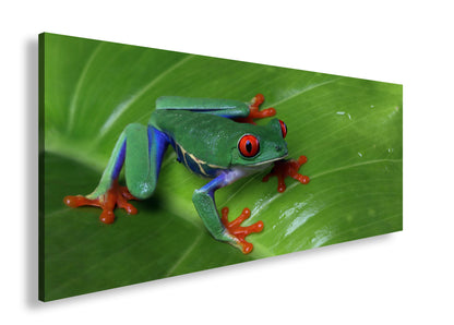 Hauptbild Farbig Panorama