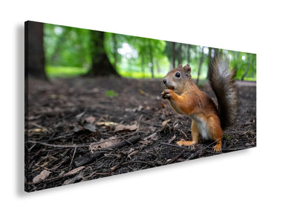 Hauptbild Farbig Panorama