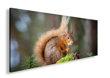 Hauptbild Farbig Panorama