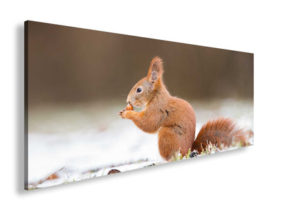 Hauptbild Farbig Panorama