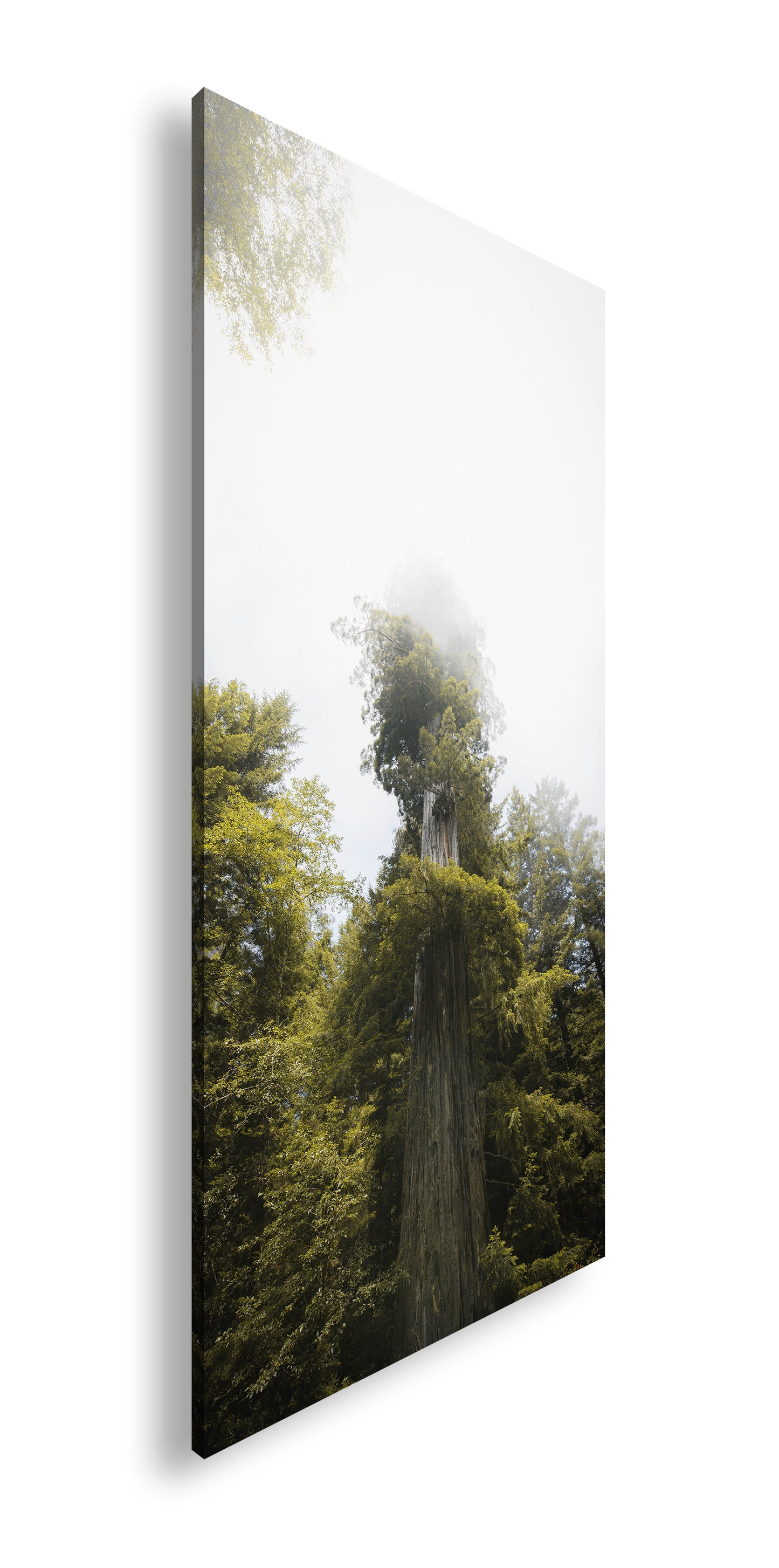 Hauptbild Farbig Panorama