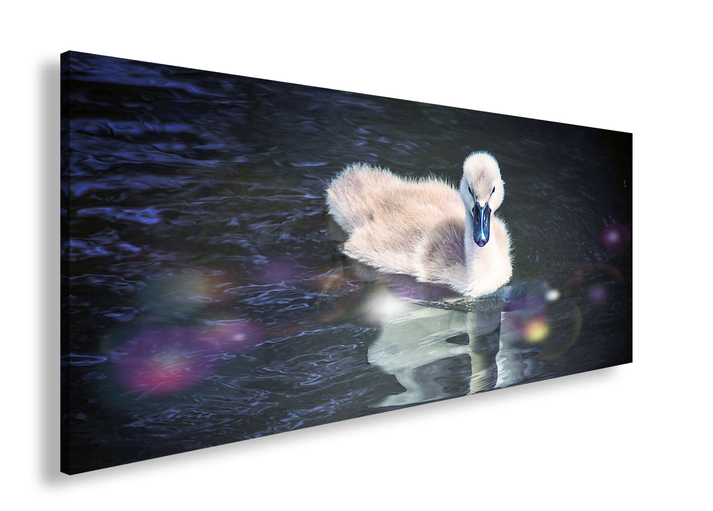 Hauptbild Farbig Panorama