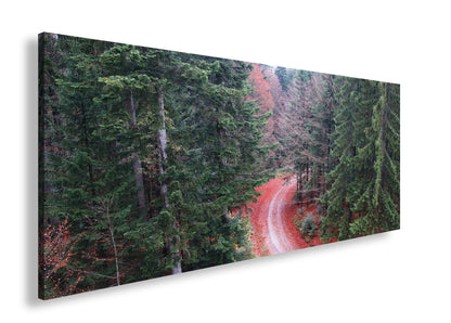 Hauptbild Farbig Panorama